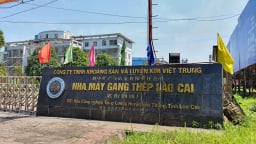 Khoáng sản Việt Trung nợ thuế trăm tỷ trước khi Tổng giám đốc bị khởi tố