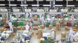 Doanh nghiệp ngán ngại những cuộc thanh kiểm tra chỉ 'lo' bắt lỗi