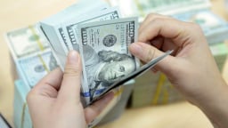 Tỷ giá USD/VND chịu nhiều áp lực, đi ngược xu hướng thế giới