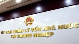 Không còn CMSC, thiết kế lại cách quản lý vốn nhà nước tại DN