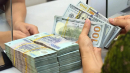 Tỷ giá USD/VND lập đỉnh cao, DN ứng phó những áp lực mới