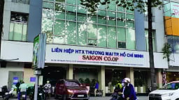 Cung cấp hàng hoá không đảm bảo chất lượng, Thực phẩm thiên nhiên King Green bị cấm thầu 3 năm