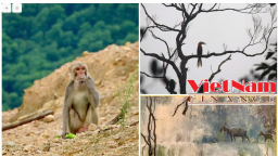 Khám phá Vườn Quốc gia Vũ Quang, thiên đường du lịch tương lai ở Hà Tĩnh