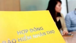 Sau khủng hoảng bancassurance, ngân hàng muốn tự bán bảo hiểm