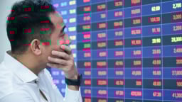 Cổ phiếu LDG 'sập sàn', nhà đầu tư FOMO nhận trái đắng