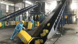 Vi phạm về môi trường, Phát triển Công nghiệp Xanh bị phạt 370 triệu
