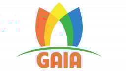 Giáo dục GAIA bị cưỡng chế thuế 6,7 tỷ đồng