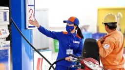 'Ông lớn' xăng dầu có doanh thu vượt xa Vingroup