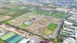 Thu hồi đất khi DN đạt thỏa thuận trên 75%: Cần cơ chế giám sát chặt chẽ 