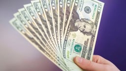 Tỷ giá trung tâm lập đỉnh mới, giá USD ngân hàng hạ nhiệt
