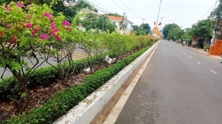 Bộ Công an đề nghị Phú Yên cung cấp tài liệu 30 dự án liên quan Cây xanh Công Minh