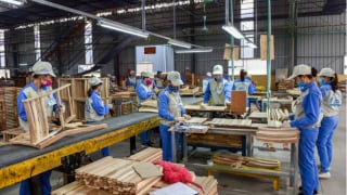 Công ty gỗ nghìn tỷ bị yêu cầu xử lý tồn đọng về thuế