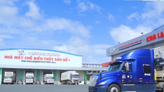 'Ông lớn' thủy sản IDI: Huy động 1.000 tỷ đồng trái phiếu xanh