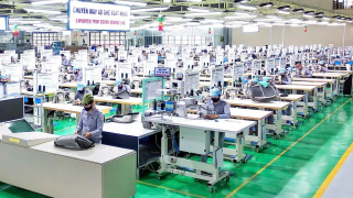 Mỹ áp thuế 46%: Quảng Nam gửi thư cam kết đồng hành, hỗ trợ DN