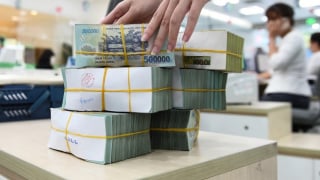 Ngân hàng đồng loạt báo lãi lớn trong quý I/2025
