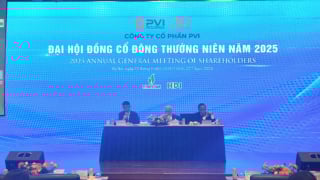 PVI: Tiến sát mốc doanh thu tỷ USD, chốt cổ tức tiền mặt gần 32%