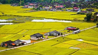 Tổng điều tra nông thôn, nông nghiệp toàn quốc