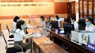 Sắp xếp 20 chi cục thuế khu vực thành 34 Thuế tỉnh, thành phố