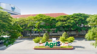 TTC AgriS (SBT): Kết quả kinh doanh quý III tiếp tục tăng trưởng, cổ phiếu vượt đỉnh 3 năm