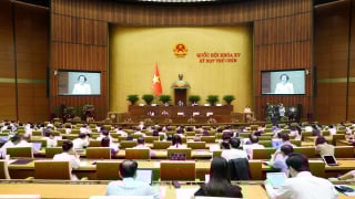 Chủ tịch tỉnh có thể trực tiếp điều hành cấp xã khi cần thiết