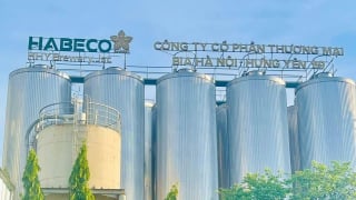 Habeco Trading 89 sắp lên sàn chứng khoán