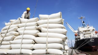 VCCI đề xuất bỏ loạt rào cản với doanh nghiệp xuất khẩu gạo