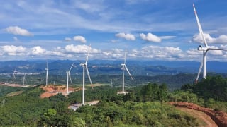 Tham vọng 2 dự án điện gió 2.300 tỷ, 'sức khỏe' tài chính của SCI ra sao?