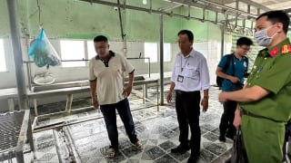 Đồng loạt kiểm tra các cửa hàng, lò mổ liên quan C.P. Việt Nam