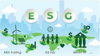 ESG của ngân hàng Việt: Vẫn đang giai đoạn đầu