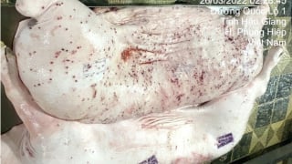 Danh tính cán bộ đóng dấu kiểm dịch sai lên thịt heo bệnh của Công ty C.P.