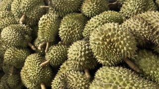 Sầu riêng Việt bị Trung Quốc trả về hàng loạt: Phải tự trách mình