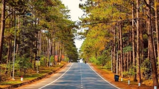 Kon Tum: Duyệt chủ trương đầu tư 3 dự án khu đô thị ở Măng Đen 26.000 tỷ đồng