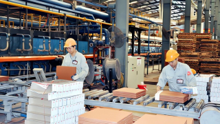 DN Việt mơ được như Nhật và Hàn: Vay vốn dài hạn lãi suất chỉ 2 - 3% 