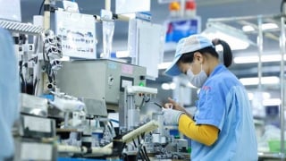 Số doanh nghiệp thành lập mới tăng vọt trong tháng 6