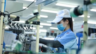 'Mỹ áp thuế 20%, doanh nghiệp có thể tính toán và sống được'