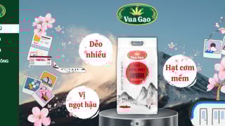 Tìm hiểu King Green: 'Vua Gạo' bị cấm đấu thầu vì bán hàng kém chất lượng