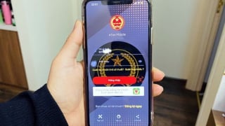 Hơn 600.000 người chưa được hoàn thuế thu nhập cá nhân tự động
