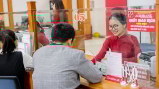 Agribank tích cực giải ngân cho Đề án 1 triệu héc-ta lúa chất lượng cao