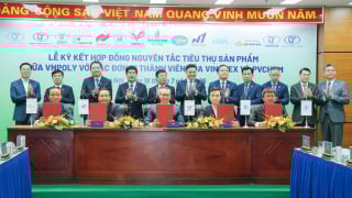 Petrovietnam - VINATEX tạo sự bền vững trong chuỗi cung ứng ‘hóa chất - xơ sợi - dệt may’
