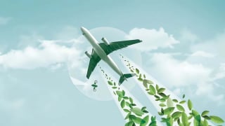  Nắm hàng chục triệu tín chỉ carbon, Việt Nam thiếu thị trường giao dịch