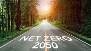 Từng tấc đất rừng và từng hạt lúa thơm: Nông dân Việt tiến đến Net Zero