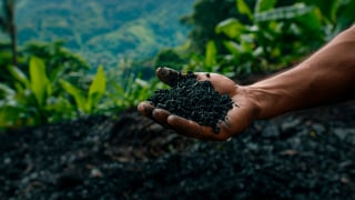Biochar: Biến hàng triệu tấn phụ phẩm thành nguồn lợi triệu USD