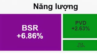 BSR tím trần trong phiên VN-Index lập đỉnh thời đại