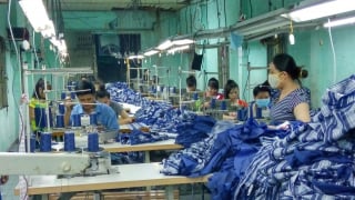 Tổng điều tra kinh tế 2026: Hơn 859.000 doanh nghiệp hoạt động, doanh thu 45,3 triệu tỷ đồng