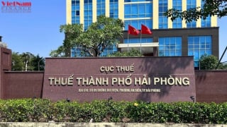 Hải Phòng cưỡng chế khoản nợ thuế hơn 144 tỷ đồng của Tập đoàn 202 