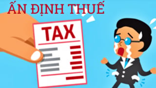 Hộ kinh doanh, doanh nghiệp bị ấn định thuế trong trường hợp nào?