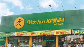 Bách hoá Xanh chưa 'Bắc tiến': Cơm không ăn thì gạo còn đó