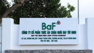 BAF: Cổ đông liên quan Chủ tịch HĐQT không mua hết lượng cổ phiếu đăng ký