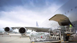 Bộ GTVT đề xuất Thủ tướng cho IPP Air Cargo gia nhập thị trường hàng không