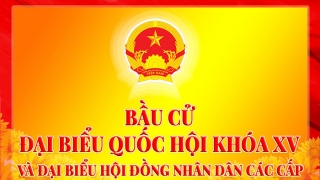 Đường tới Quốc hội của doanh nhân